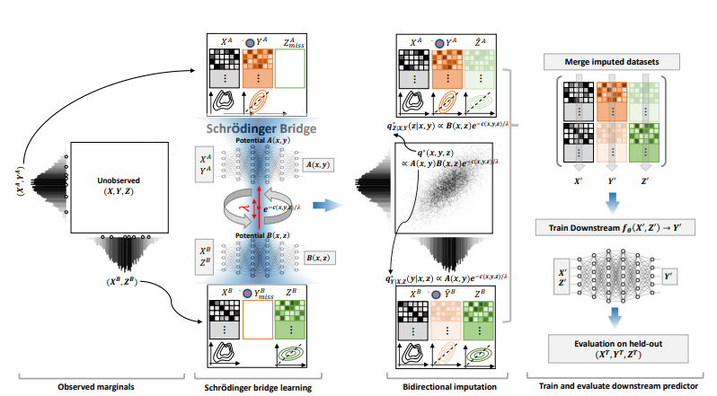 Statistical Matching via Schrödinger Bridge